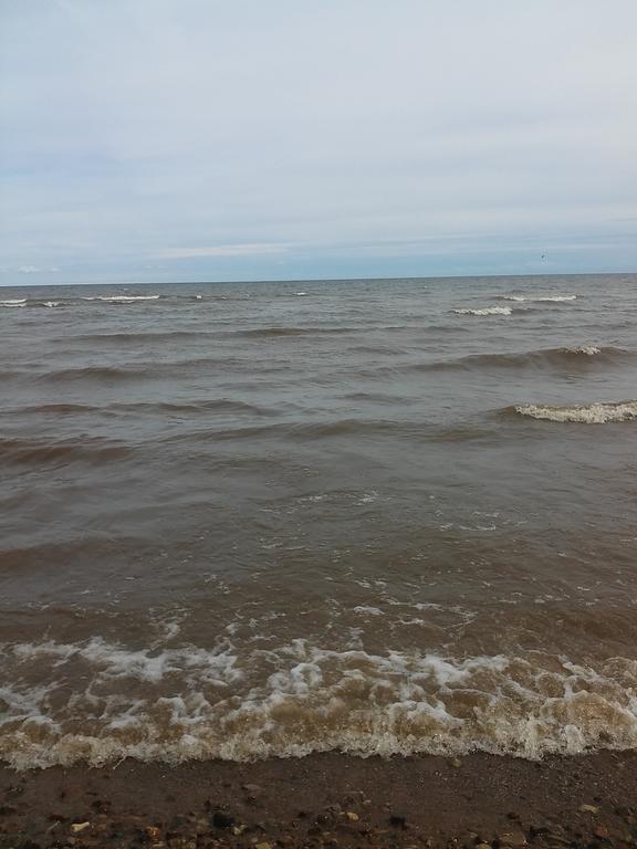 Jaerve Holiday Village Kodavere Luaran gambar
